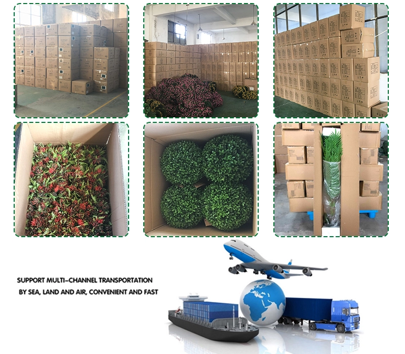 Factory hot sale boxwood ball in pot s najlepšou kvalitou
